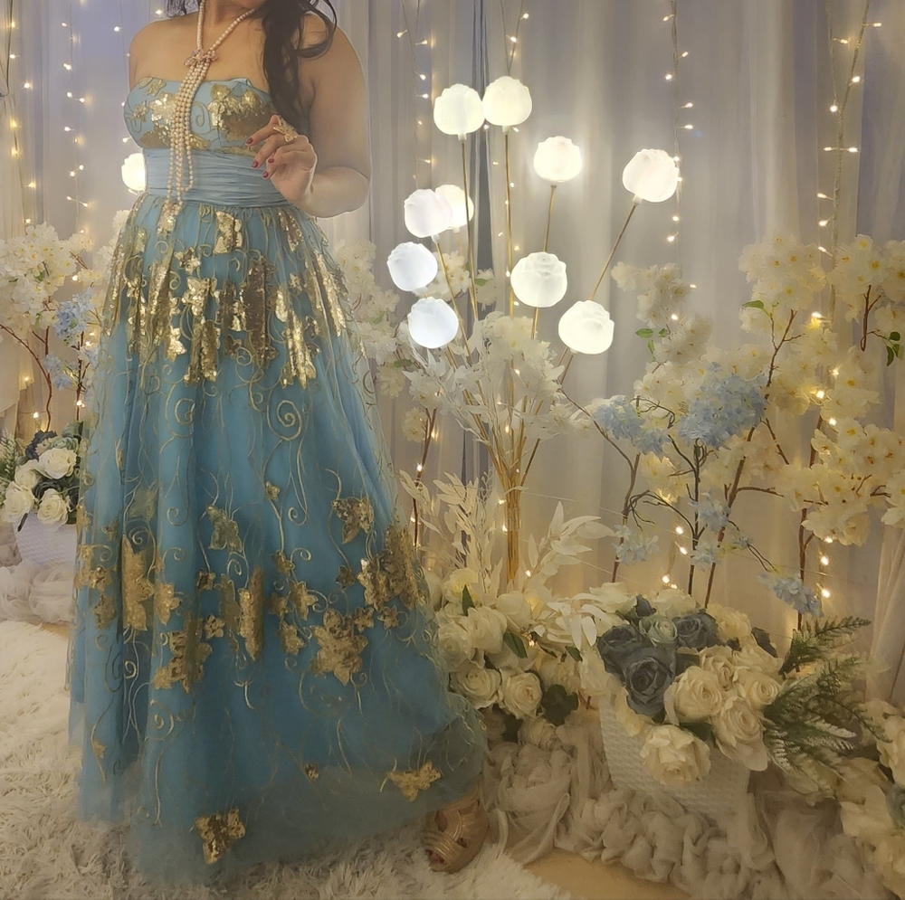 Vintage Cinderella Elegant Blue and Gold Floor Length Gown